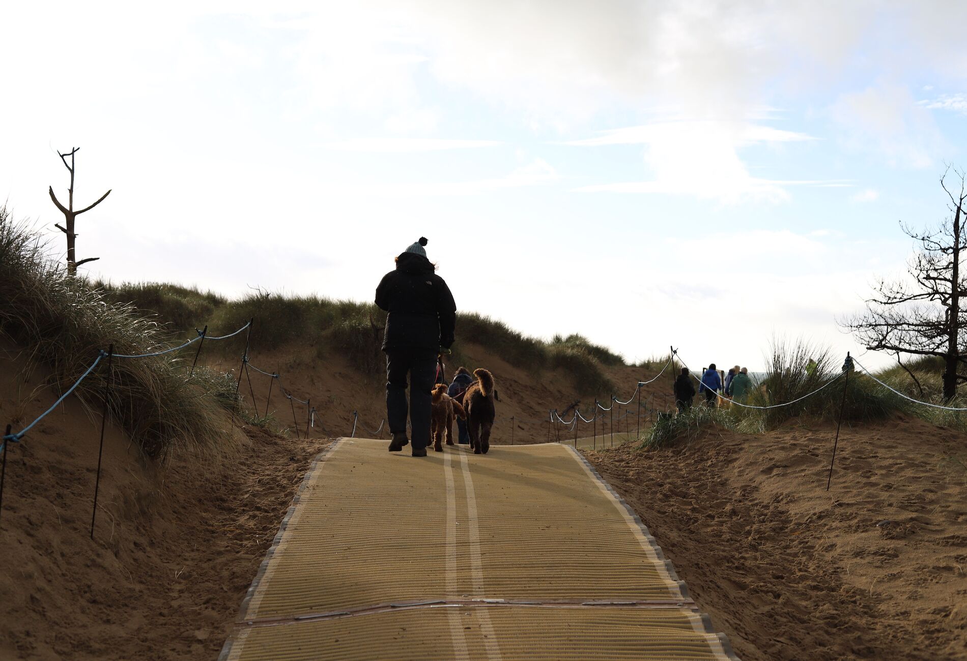 Uitlater met honden op een duinpad