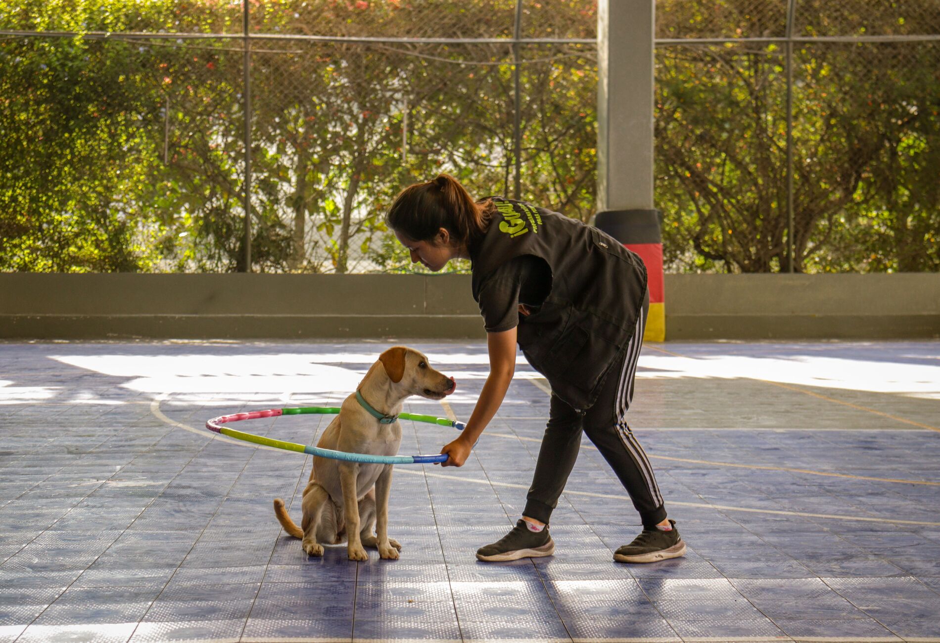 Trainer oefent met een jonge hond